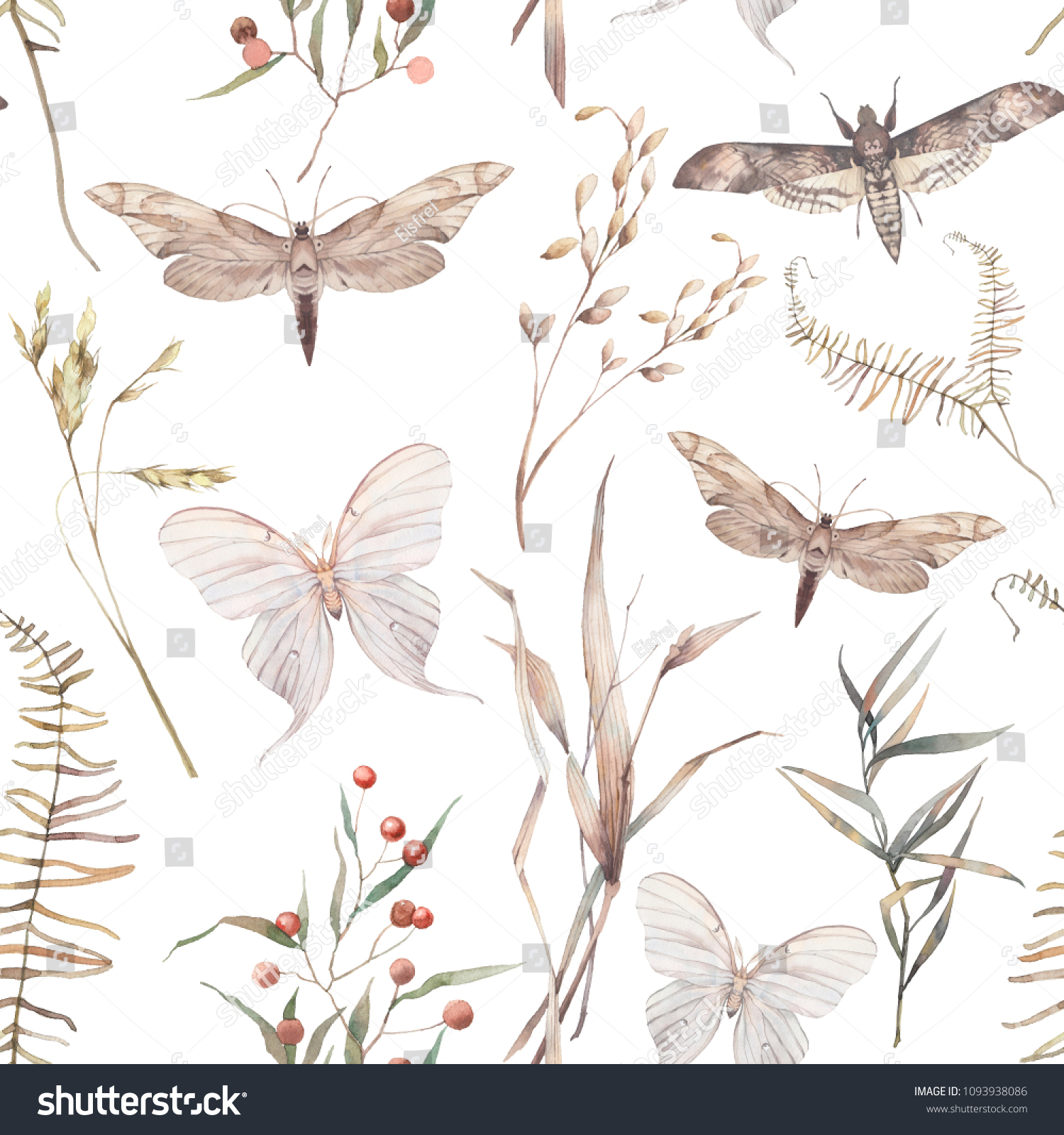 Watercolor Butterfly And Summer Field Herbs Seamless Pattern Hand