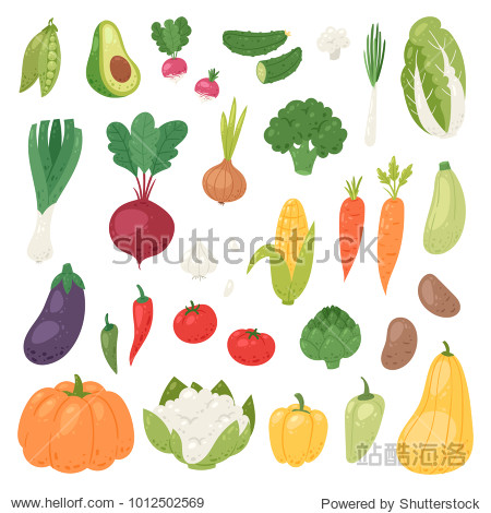 vector healthy nutrition of vegetably tomato pepper and carrot