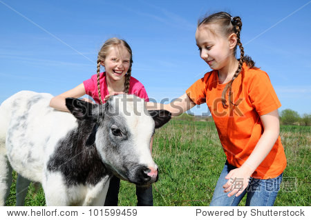 two little girls petting a beautiful calf