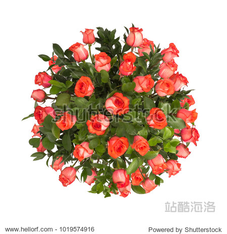 bouquet of red roses flowers