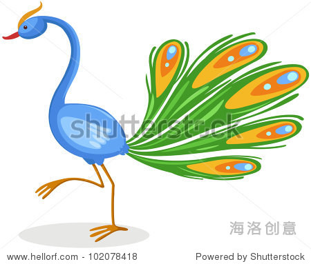 illustration of isolated cartoon peacock on white