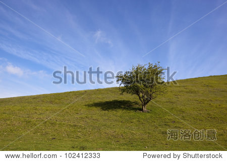grassy hillside meadow under a blue sky with light streaky cloud