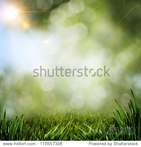 110557328.jpg