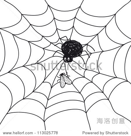spider with a fly in a web. illustration on white background.