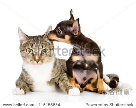 116155834.jpg