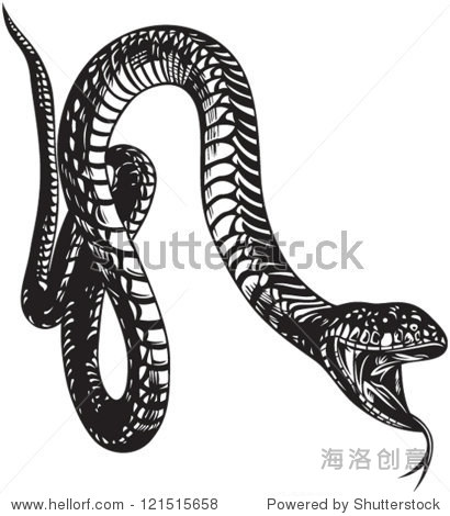 big snake with open mouth black and white style