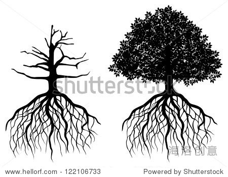 vector illustration 站酷海洛正版图片 视频