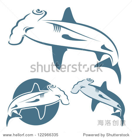 hammerhead shark - vector illustration