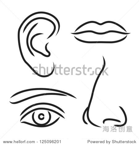 vector illustration nose ear mouth and eye
