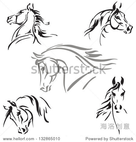 horse"s head studies studies of horse"s heads based on brush