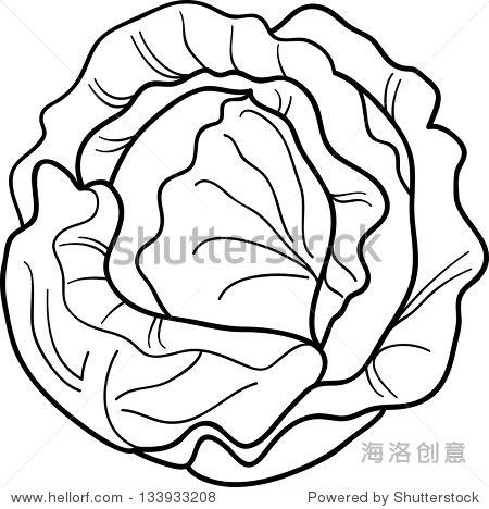 black and white cartoon illustration of cabbage or lettuce for