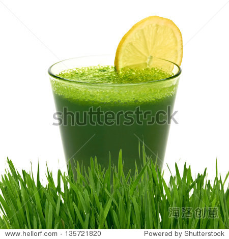 wheat grass juice with lemon slice in glass on white background