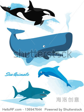 sea animals series - whale shark dolphin orca
