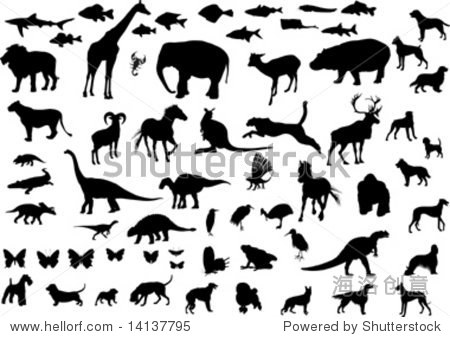 大组动物剪影;向量 - 动物/野生生物,自然 - 站酷海洛