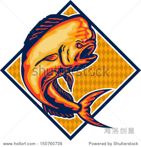 各种形状的鱼视频 150760739.jpg
