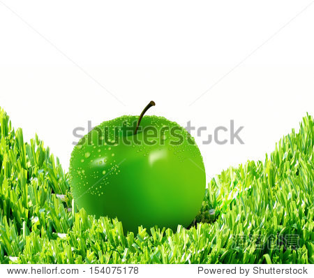 154075178.jpg