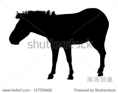 black silhouette isolated on white
