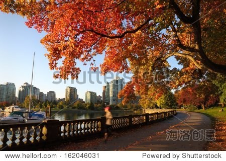秋天,斯坦利公园的海堤,温哥华。清晨慢跑者在