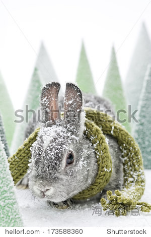 灰色的婴儿与绿色围巾和雪兔人工绿皮书福勒斯