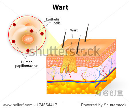 the growth of gdp_中国gdp增长图(3)