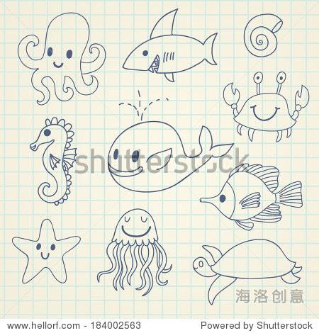 whale octopus jellyfish fishes seahorse turtle starfish and