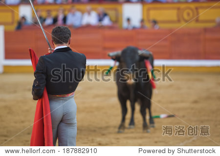斗牛士是杀牛,准备巴达霍斯,西班牙 - 动物\/野生