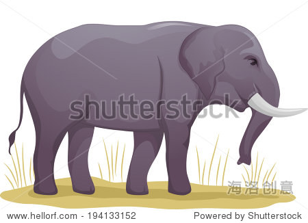 illustration featuring an elephant standing on a
