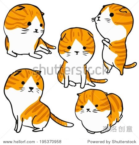 scottish fold cat cartoon set
