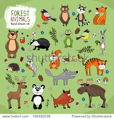 forest animals large set hand-drawn illustration