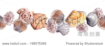 seamless border strip with seashells. watercolour