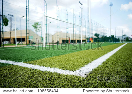 close up white line on a soccer field grass