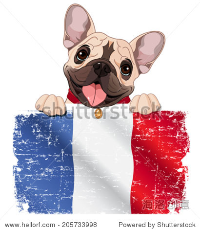 法国斗牛犬迷着法国国旗 - 动物\/野生生物,符号