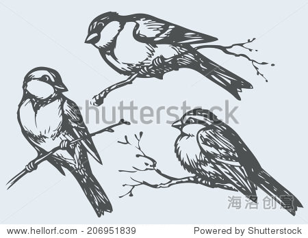 vector freehand drawing of series of monochrome sketches 