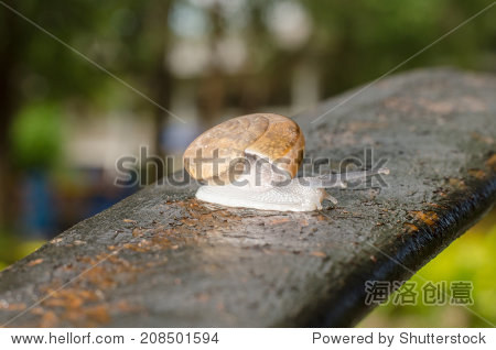 208501594.jpg