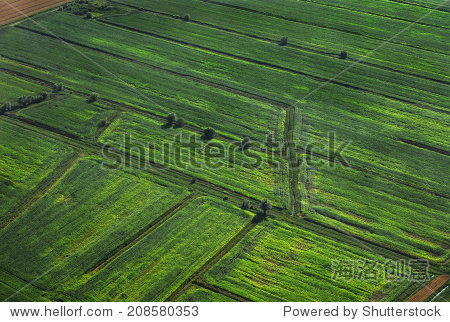 cultivated green fields. central europe. aerial view.