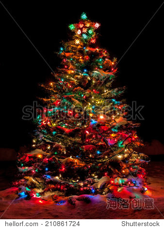 snow covered christmas tree with multi colored lights at night