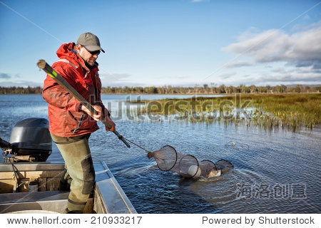 professional eel fisherman hauling in his nets and collecting