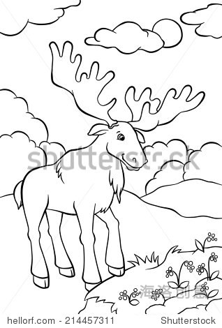 cute elk standing in the forest and looking at