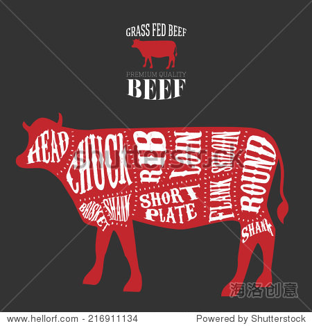 vector beef cuts diagram in vintage style
