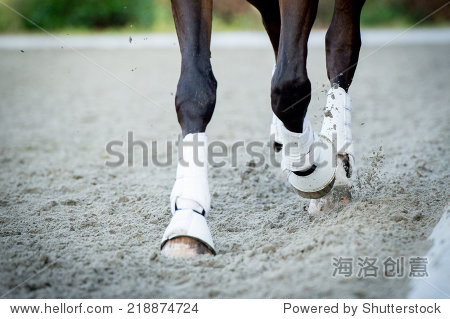 closeup of the hooves from a horse while in trot