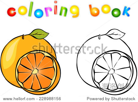 cartoon orange coloring book. vector illustration