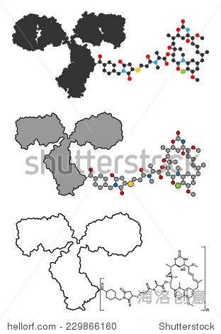 曲妥珠单抗emtansine抗体药物共轭分子。用于