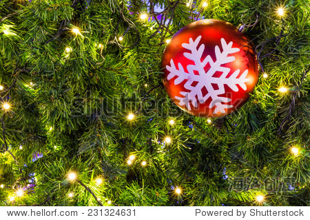 christmas lights and gift hanging in a tree background