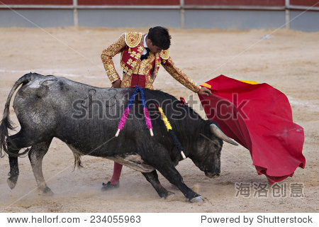 bullfighter in a bullring