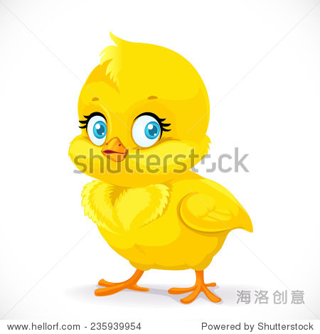 little cute yellow cartoon chick isolated on a white background
