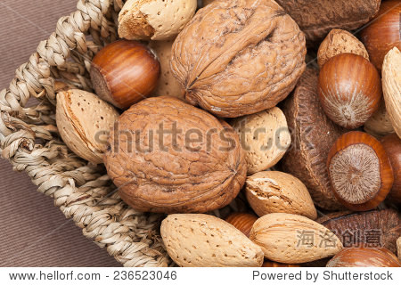 各种坚果图片大全 236523046.jpg