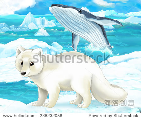 卡通场景-北极动物北极狐插图为孩子们