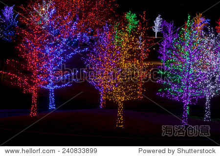 trees tightly wrapped in led lights for the christmas holidays.