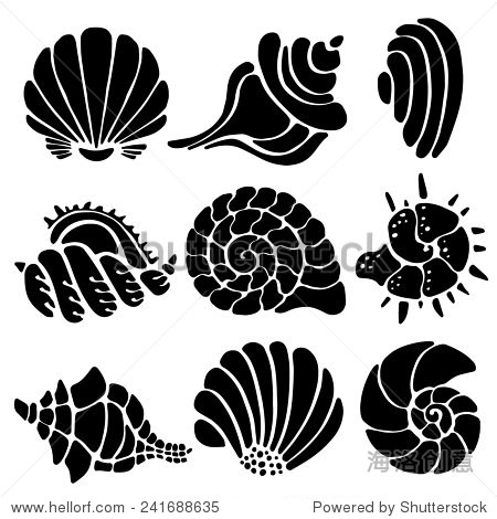 sea shells icon set isolated on a white background, art logo design