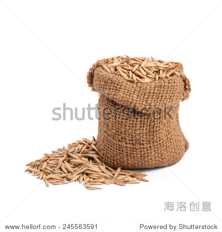 oat seed grain in burlap sack bag isolated on white background
